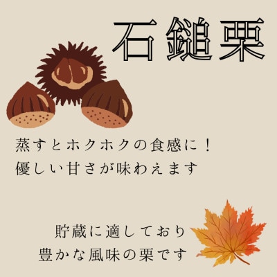 栗ご飯にぴったり!茨城県産 貯蔵 石鎚栗 約2kg(約1kg×2袋)