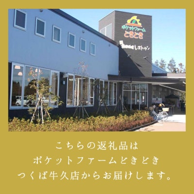 栗ご飯にぴったり!茨城県産 貯蔵 石鎚栗 約2kg(約1kg×2袋)