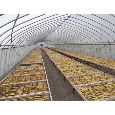 石塚さん　紅はるか干し芋　平干し300g×3袋・丸干し250g×3袋　計6袋セット