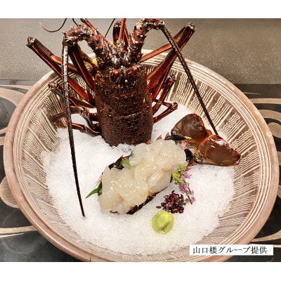 常陸乃国いせ海老 1尾(600～700g) 冷凍