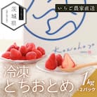 風早いちご園 とちおとめ 冷凍いちご2kg(1kg×2パック) 真空冷凍 長期保存