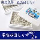 極鮮 茨城・鹿島灘 常陸乃国しらす「釜揚げしらす」 720g(360g×2箱) 冷凍便