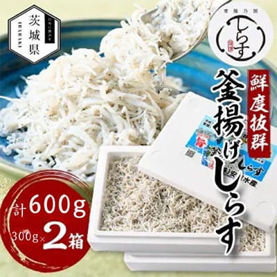 極鮮 茨城・鹿島灘 常陸乃国しらす「釜揚げしらす」 600g(300g×2箱) 冷凍便