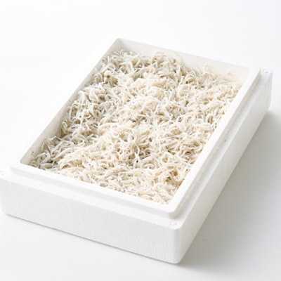 極鮮 茨城・鹿島灘 常陸乃国しらす「釜揚げしらす」 660g(330g×2箱) 冷凍便