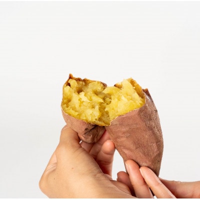 ねっとり甘い熟成蜜芋3点セット(焼き芋×2パック、スイートポテト×3個、大学芋)