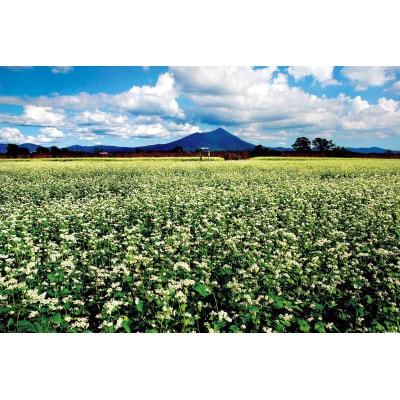 [手打そば満志粉] ランチペア