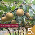 【数量限定!】桧山果樹園の茨城県ブランド梨　特選恵水5kg