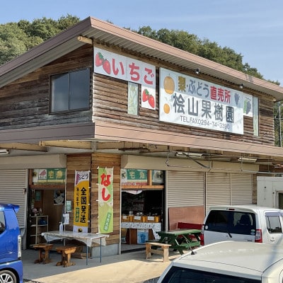 【先行受付】2026年9月順次発送 桧山果樹園 茨城県 ブランド梨 恵水5kg