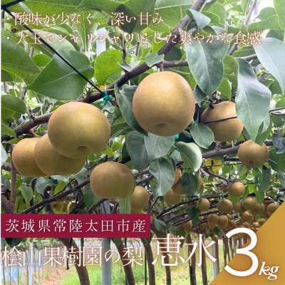 【先行受付】2026年9月順次発送 桧山果樹園 茨城県 ブランド梨 恵水3kg