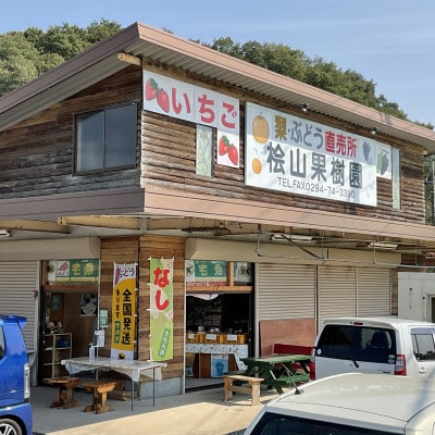 【先行受付】2026年9月順次発送 桧山果樹園 茨城県 ブランド梨 恵水3kg