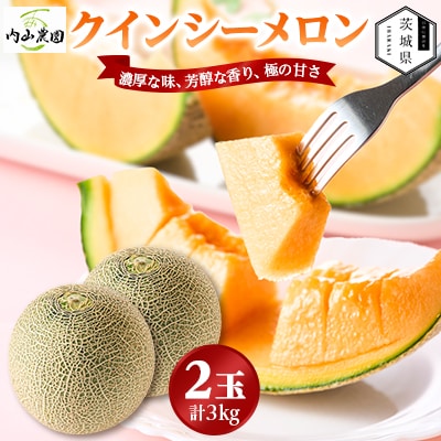 【内山農園】いばらきメロンコンテスト2025クインシーメロン(2玉3kg)2026年5月より発送開始