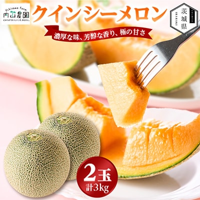 【内山農園】いばらきメロンコンテスト2025クインシーメロン(2玉3kg)2026年5月より発送開始