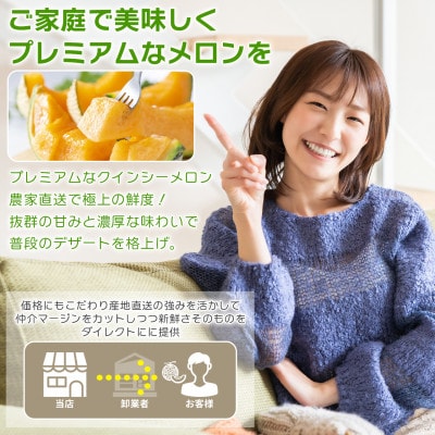 【内山農園】いばらきメロンコンテスト2025クインシーメロン(2玉3kg)2026年5月より発送開始