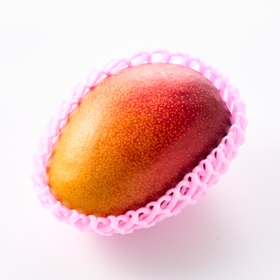 茨城県産 なめがたプリンセスマンゴー3L【450g以上】1個