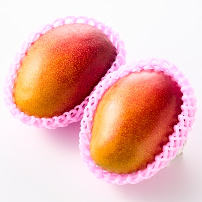 茨城県産 なめがたプリンセスマンゴー3L【450g以上】2個