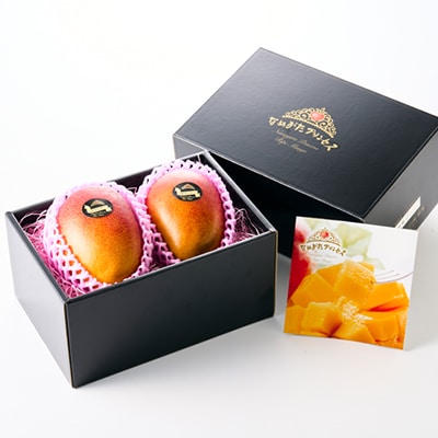 茨城県産 なめがたプリンセスマンゴーL【350g以上】2個