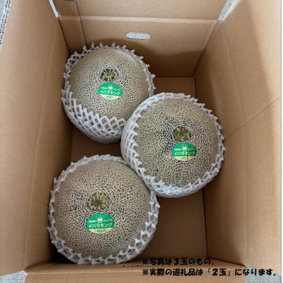 茨城県産メロン 茨城県オリジナル品種 イバラキング 2玉(3L)2026年5月下旬順次発送予定