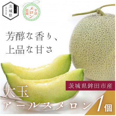 茨城県鉾田市産 アールスメロン 2.0kg以上×1玉