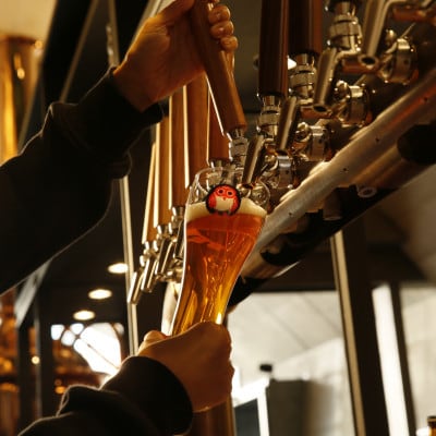 常陸野ネストビールだいだいエール入り飲み比べ8本セット