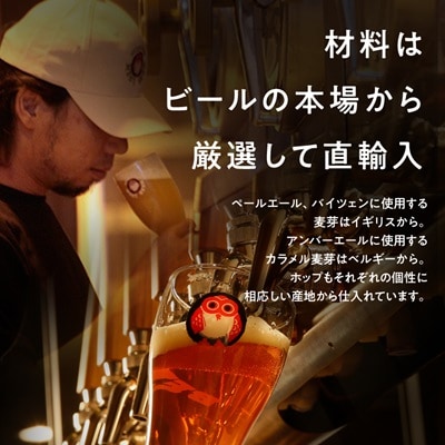 常陸野ネストビールだいだいエール入り飲み比べ8本セット