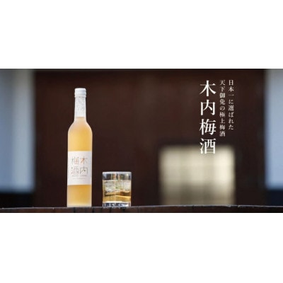 木内酒造　梅酒・梅果実酒・柚子ワインセット
