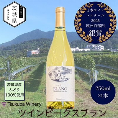 【離島・沖縄配送不可】つくばワイナリー ツインピークスブラン　750ml