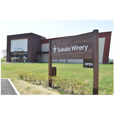 【離島・沖縄配送不可】つくばワイナリー ツインピークスブラン　750ml