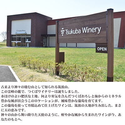 【離島・沖縄配送不可】つくばワイナリー ツインピークスブラン　750ml