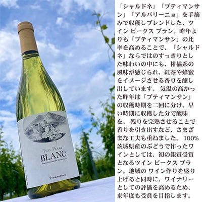 【離島・沖縄配送不可】つくばワイナリー ツインピークスブラン　750ml