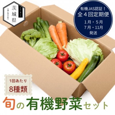 【発送月固定定期便】茨城県産 有機JAS認証 旬の有機栽培野菜セット 8種類 詰合せセット全4回