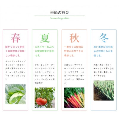 【発送月固定定期便】茨城県産 有機JAS認証 旬の有機栽培野菜セット 8種類 詰合せセット全4回
