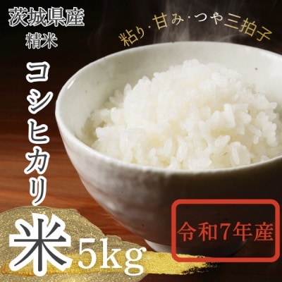 【茨城県産】2025年新米 茨城県産 コシヒカリ米(精米)5kg