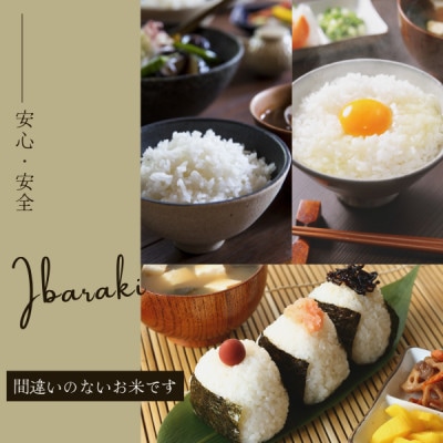 【茨城県産】2025年新米 茨城県産 コシヒカリ米(精米)5kg