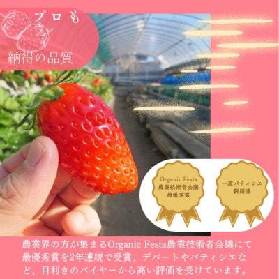 【茨城県産】菅谷いちご園の完熟いちご　3Lサイズ 11粒×2パック