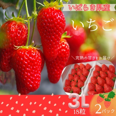 菅谷いちご園の完熟いちご　3Lサイズ18粒(約420g)×2パック