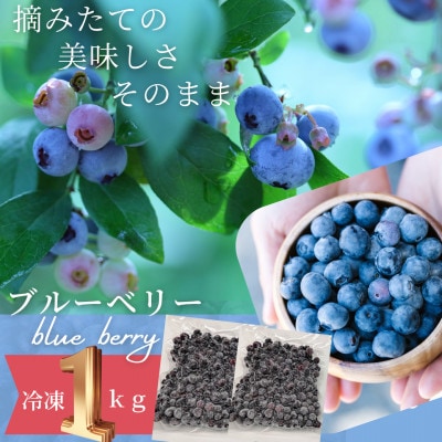 【茨城県産】冷凍ブルーベリー1kg(500g×2パック)