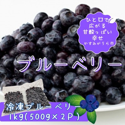 【茨城県産】冷凍ブルーベリー1kg(500g×2パック)