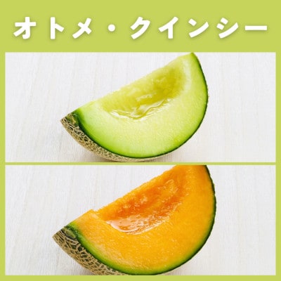 茨城県産オトメ・クインシーメロンセット優品または秀品3L以上2玉入【2026年4月下旬以降順次発送】