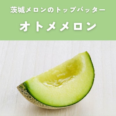 茨城県産オトメ・クインシーメロンセット優品または秀品3L以上2玉入【2026年4月下旬以降順次発送】