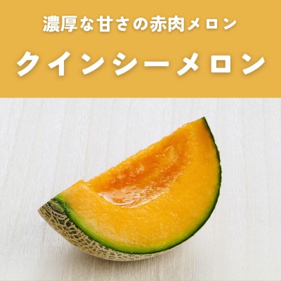 茨城県産オトメ・クインシーメロンセット優品または秀品3L以上2玉入【2026年4月下旬以降順次発送】