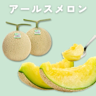 糖度13度以上!茨城県産 アールスメロン 2玉入り【先行受付　2026年9月上旬以降順次発送】