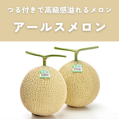糖度13度以上!茨城県産 アールスメロン 2玉入り【先行受付　2026年9月上旬以降順次発送】