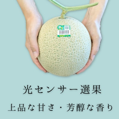 糖度13度以上!茨城県産 アールスメロン 2玉入り【先行受付　2026年9月下旬以降順次発送】