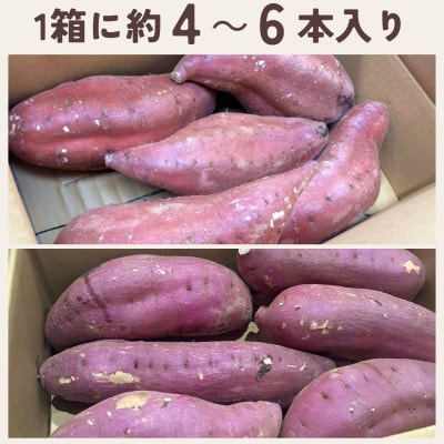 茨城県産 紅まさり・大(1箱約4～6本入り×2箱セット)1本800g以上!