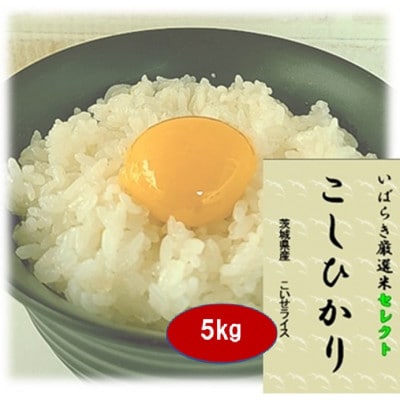 �}�g�R�[�Y�Ă𒆐S�Ɍ��I�����y��錧�Y�����Ђ���z����5kg �ߘa7�N�Y