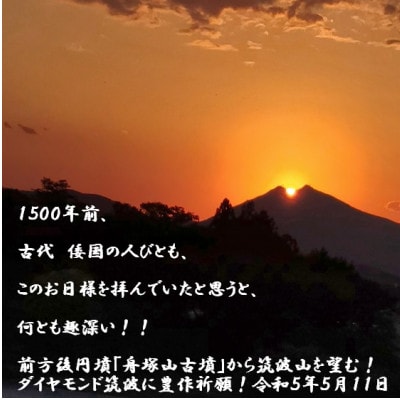 筑波山麓産米を中心に厳選した【茨城県産こしひかり】白米5kg 令和7年産