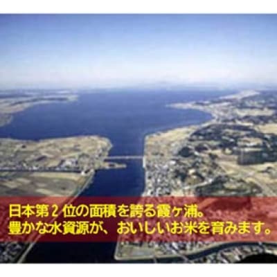 筑波山麓産米を中心に厳選した【茨城県産こしひかり】白米5kg 令和7年産