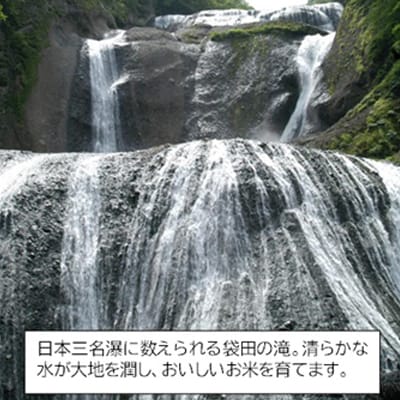 筑波山麓産米を中心に厳選した【茨城県産こしひかり】白米5kg 令和7年産