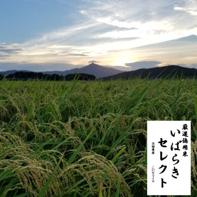 茨城県産こしひかりミックス 白米5kg 令和7年産