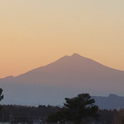 茨城県産こしひかりミックス 白米5kg 令和7年産